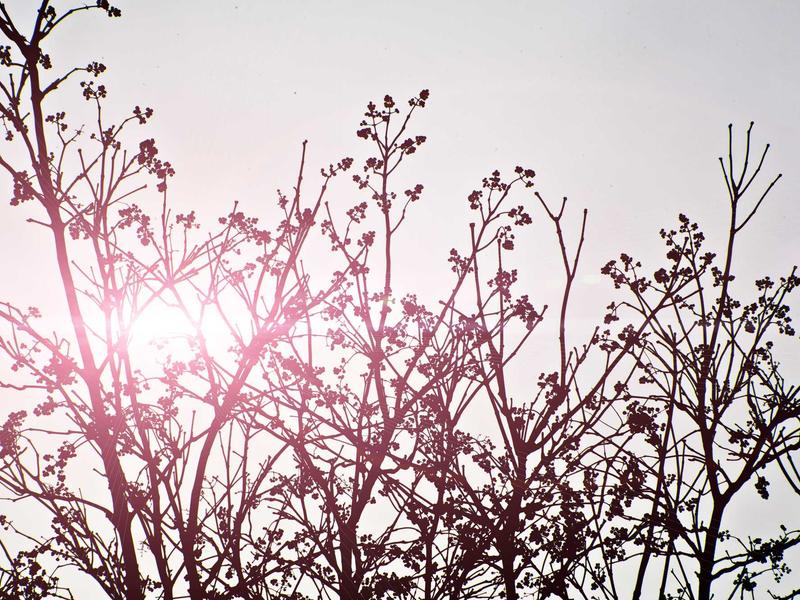 sudoku full version screenshot 3