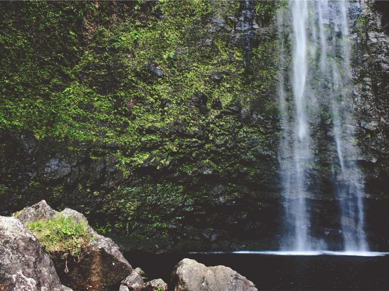 sudoku forcing chains screenshot 4