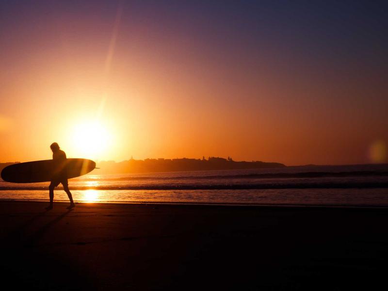 sudoku forcing chains screenshot 3