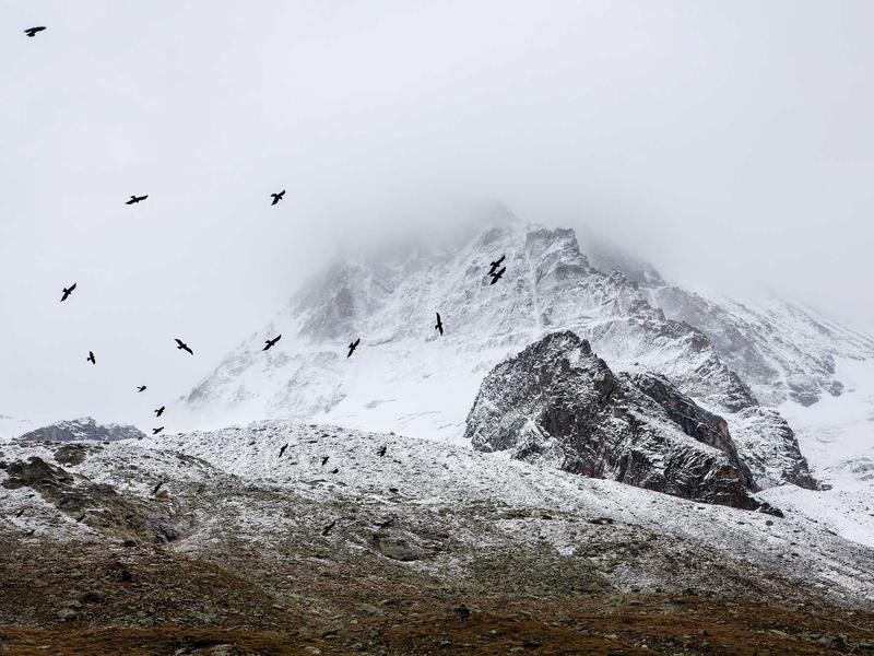 sudoku grid completion screenshot 1